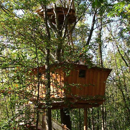 Les Cabanes De Fontfroide Saint-Antoine  Экстерьер фото